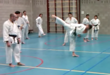 dojo Shito Ryu Delft